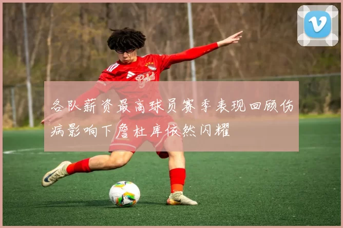 各队薪资最高球员赛季表现回顾伤病影响下詹杜库依然闪耀