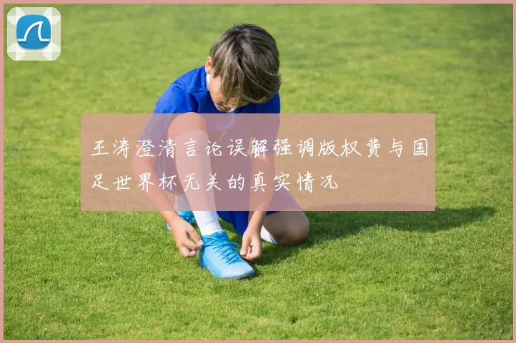 王涛澄清言论误解强调版权费与国足世界杯无关的真实情况
