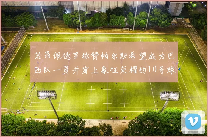 若昂佩德罗称赞帕尔默希望成为巴西队一员并穿上象征荣耀的10号球衣