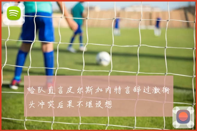 哈队直言皮尔斯加内特言辞过激街头冲突后果不堪设想